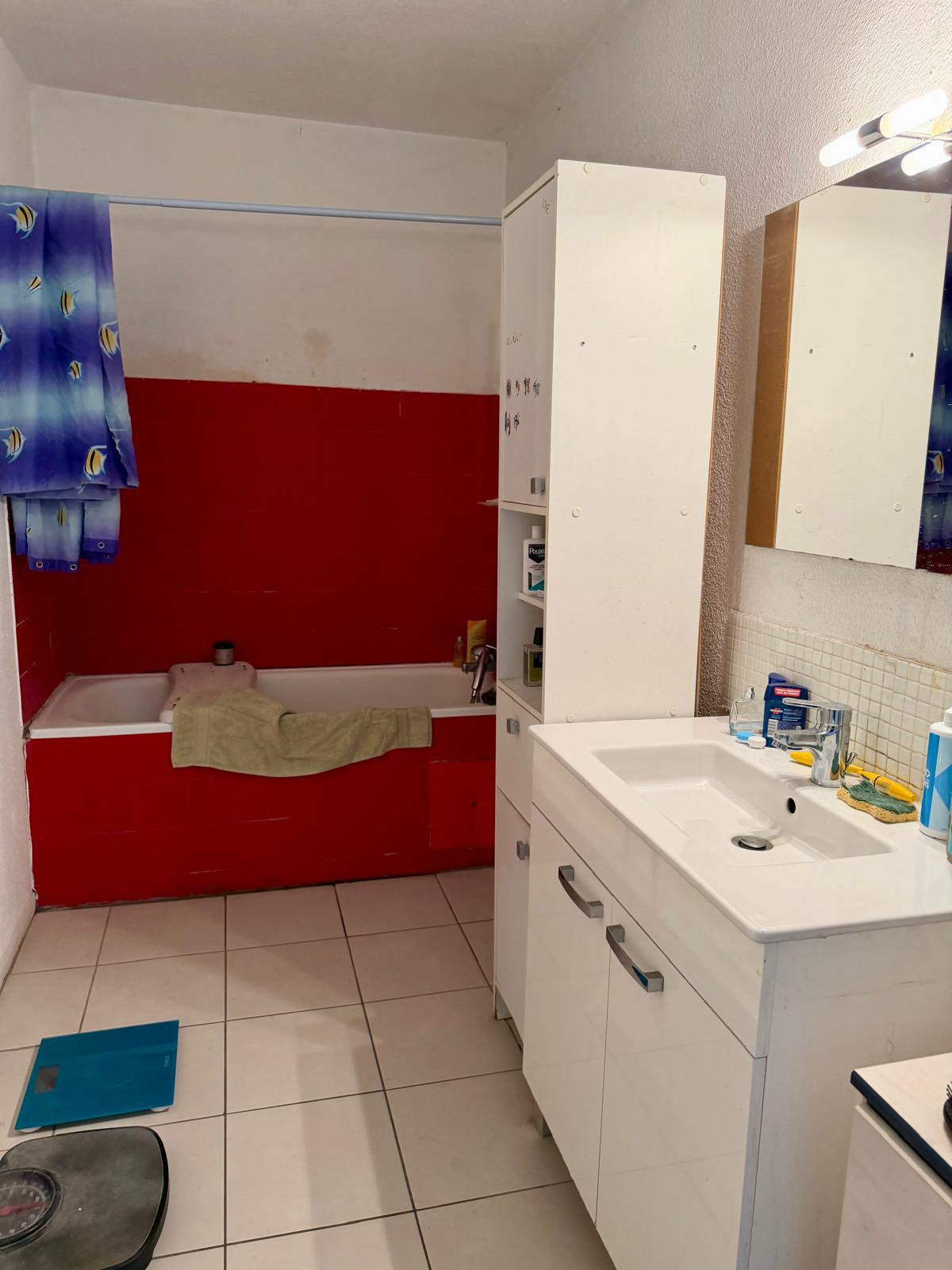 Appartement 5 pièces Moulin à vent